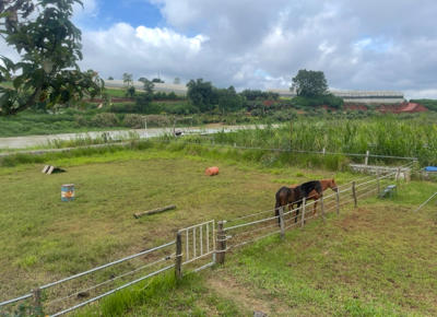 Bán đất nông nghiệp