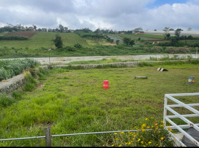 Bán đất nông nghiệp