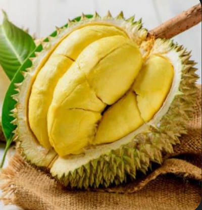 Bán sầu riêng musaking