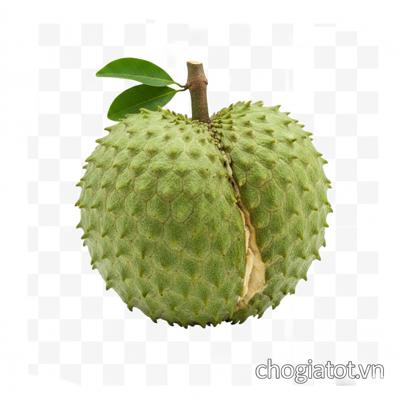 Bán mãng cầu xiêm/Cầu ta