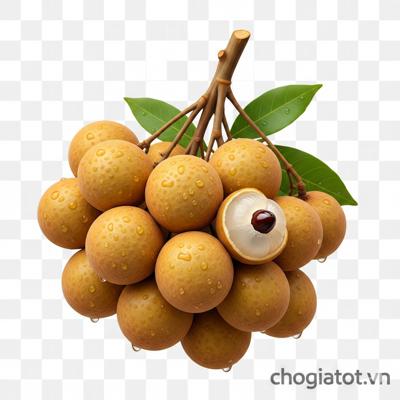 Bán nhãn xuồng cơm dầy