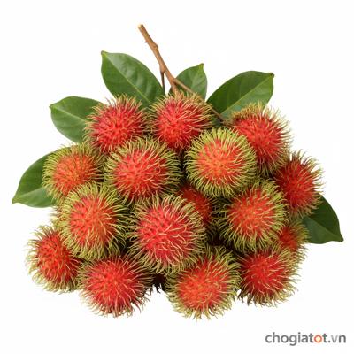 Bán chôm chôm long khánh