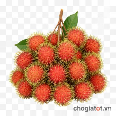 Bán chôm chôm long khánh