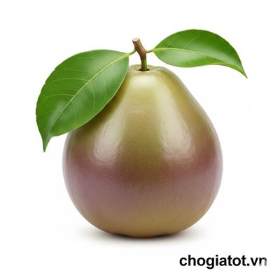 Bán vú sữa lò rèn