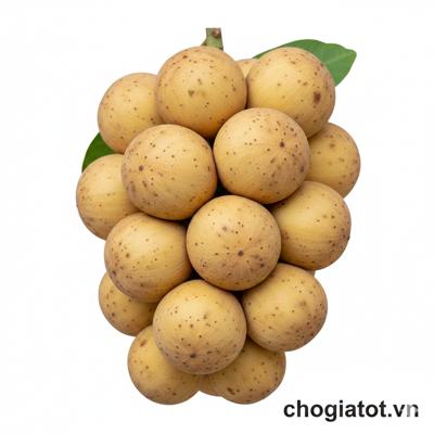 Bòn Bon Long điền- Cần thơ
