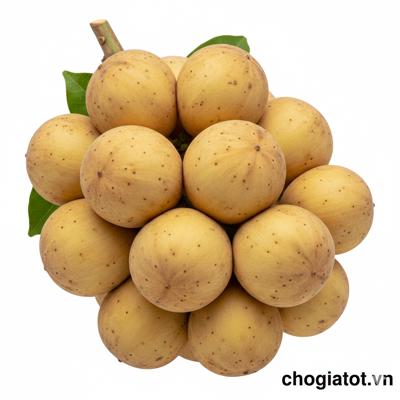 Bòn Bon Long điền- Cần thơ