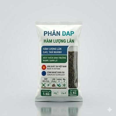 Phân tan châm